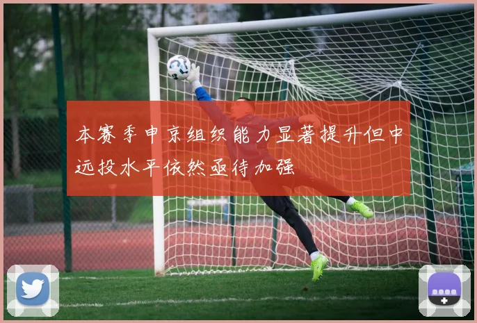 本赛季申京组织能力显著提升但中远投水平依然亟待加强