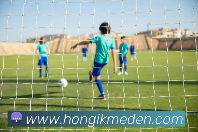 威尼斯澳门人登录服务体系